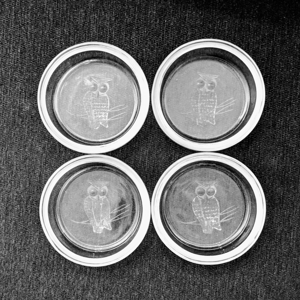 Vintage Coasters Etched Owl 4pc Set